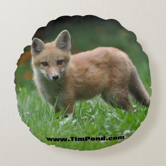 ティムの池の荒野のキャンプの装飾用クッション ラウンドクッション (正面)