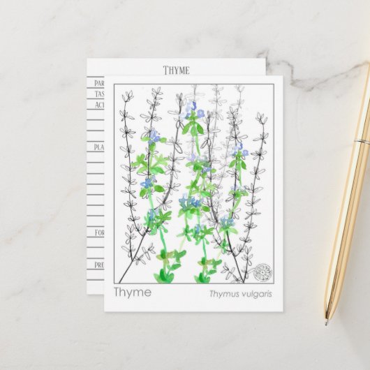 ティムハーブマテリアメディカカードハーブ勉強 ポストカード (正面/裏面インサイチュ)