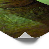 ティラノサウルスレックスポスター ポスター (角)