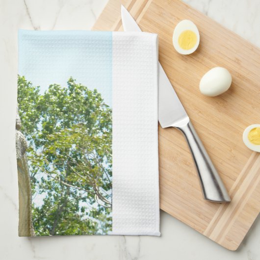 ティラノサウルスレックス恐竜 キッチンタオル (四つ折り)