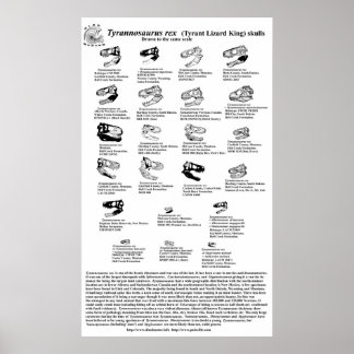 ティラノサウルスレックス ポスター