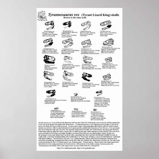 ティラノサウルスレックス ポスター (正面)