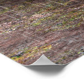 ティラノサウルスレックス ポスター (角)