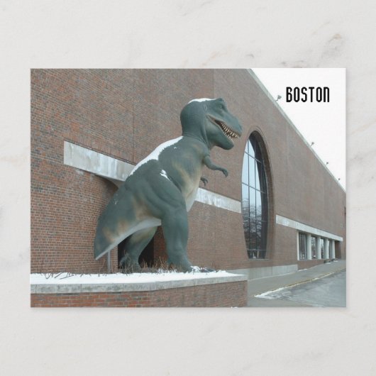 ティラノサウルスレックス ポストカード (正面)