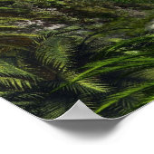 ティラノサウルス – レックス-284554ティラノサウルスレックス恐竜 ポスター (角)