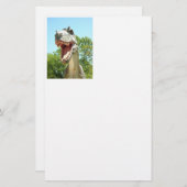 ティラノサウルスTレックス恐竜 便箋 (正面/裏面)