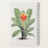 ティランジアムサイカ ノートブック (裏面)