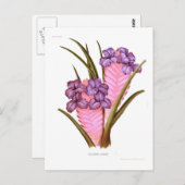 ティランジアリンデニ ポストカード (正面/裏面)