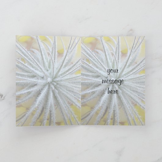 ティランドシア カード (内部)