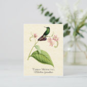 ティリアンメタルテールハミングバードヴィンテージアート ポストカード (スタンド正面)