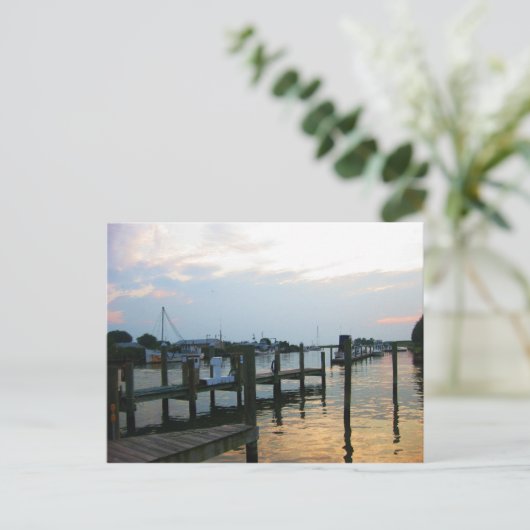 ティルグマン島(MD) ポストカード (スタンド正面)