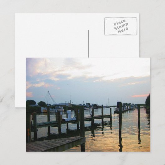 ティルグマン島(MD) ポストカード (正面/裏面)