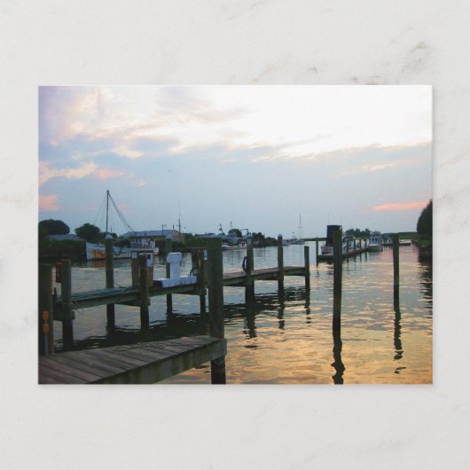 ティルグマン島(MD) ポストカード (正面)