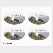 ティルトおもしろいヘッドのカモメ 楕円形シール (シート)