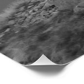 ティルミヤのポスター ポスター (コーナー)