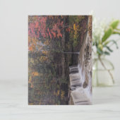 ティンカーズクリーク素晴らしの秋で秋 シーズンカード (スタンド正面)