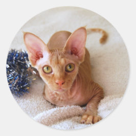 ティンセルステッカー付きスフィンクス猫 ラウンドシール