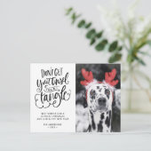 ティンゼルインアトンブルおもしろい犬フォトクリスマス シーズンポストカード (スタンド正面)