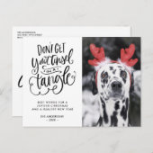 ティンゼルインアトンブルおもしろい犬フォトクリスマス シーズンポストカード (正面/裏面)
