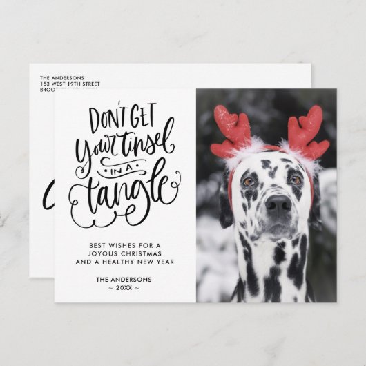 ティンゼルインアトンブルおもしろい犬フォトクリスマス シーズンポストカード (正面/裏面)