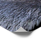 ティンバーウルフアイワイルドライフフォトアートポスター ポスター (角)