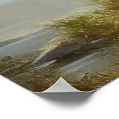 ティンバーウルフワイルドライフポートレート ポスター (角)