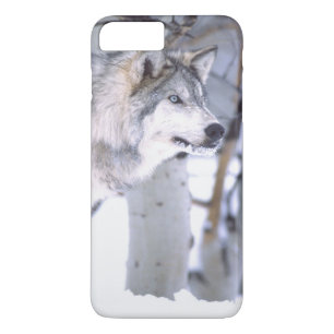 ティンバーウルフ, Canis lupus, 映画の動物 ユタ州) iPhone 8 Plus/7 Plusケース