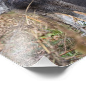 ティンバーオオカミ フォトプリント            (角)