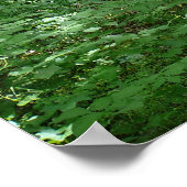 ティンバークリーク自然センター ポスター (角)