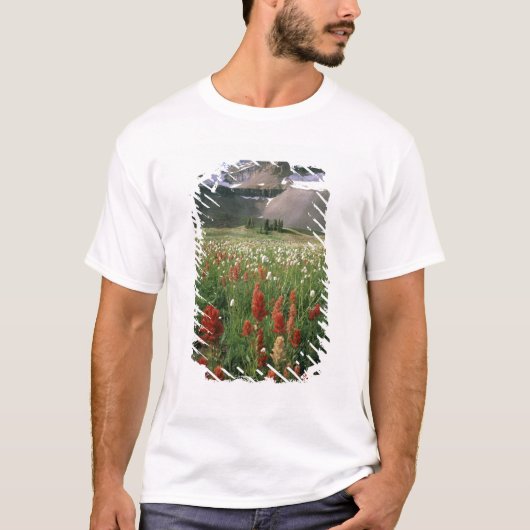 ティンパノゴス山の荒野 ユタ州 アメリカ Tシャツ (正面)