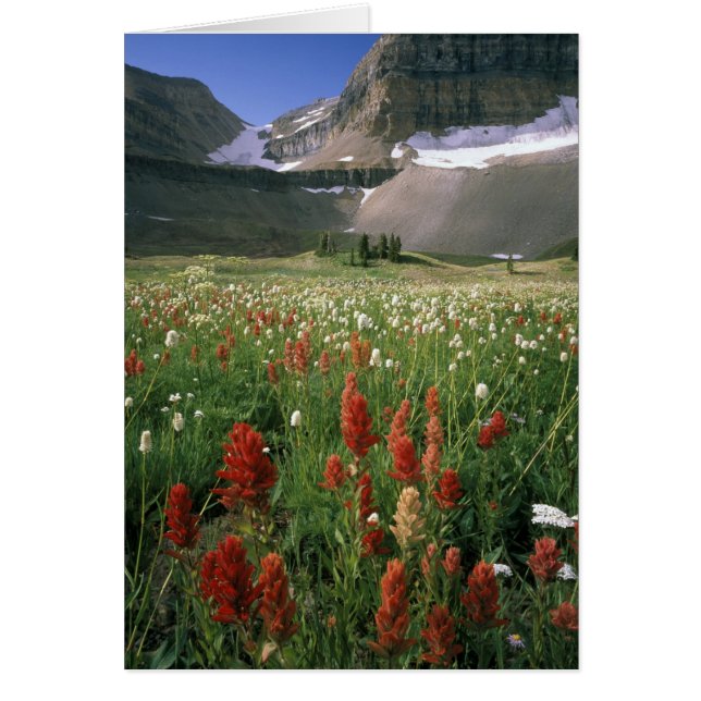 ティンパノゴス山原始地域, ユタ州, アメリカ (正面)