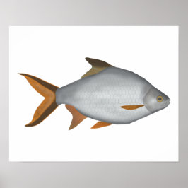 ティンフォイルバーブ ポスター