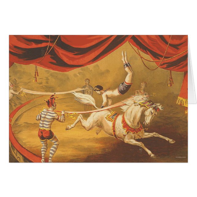 ティーのサーカスの出し物 (正面横)