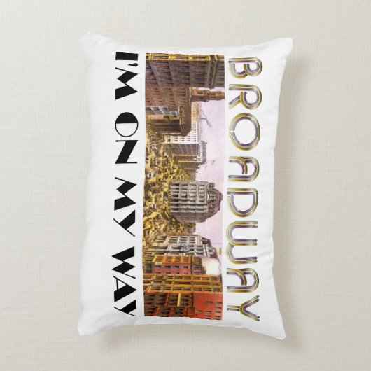 ティーのブロードウェイの星 アクセントクッション (裏面(縦))