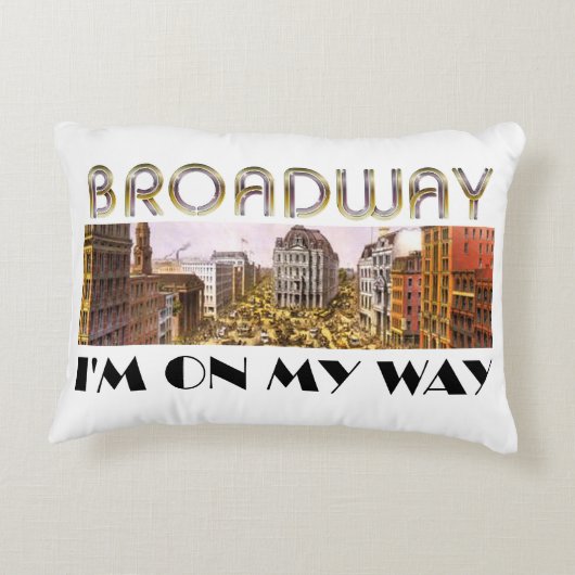 ティーのブロードウェイの星 アクセントクッション (裏面)