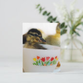 ティーカップで鴨を食べる ポストカード (スタンド正面)