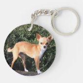 ティーカップのチワワの子犬 キーホルダー (裏面)