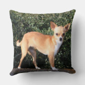 ティーカップのチワワの子犬 クッション (裏面)