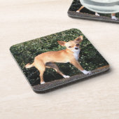 ティーカップのチワワの子犬 コースター (左側)