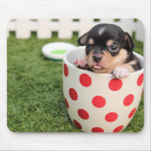 ティーカップのチワワの子犬 マウスパッド