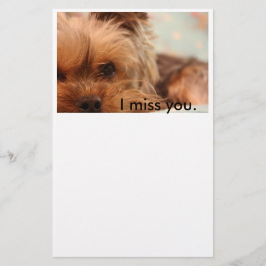 ティーカップのヨークシャの子犬の文房具 便箋 (正面)