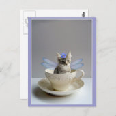 ティーカップの郵便はがきのかわいい子ネコ ポストカード (正面/裏面)