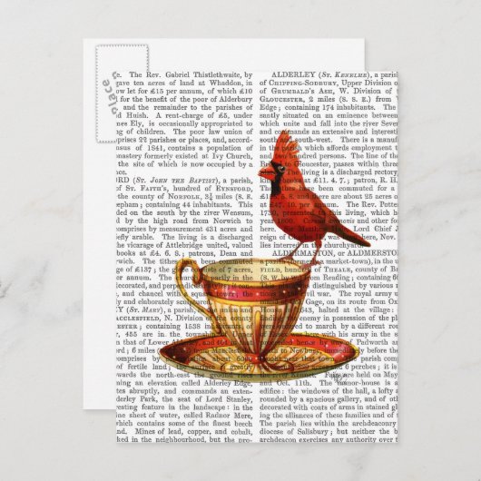 ティーカップアンドレッド(鳥)ショウジョウコウカンチョウ ポストカード (正面/裏面)