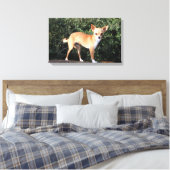 ティーカップチワホアパピー キャンバスプリント (インサイチュ (寝室))