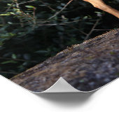 ティーカップチワホアパピー ポスター (角)