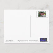 ティーガーデン日本のウォーターフォール ポストカード (裏面)