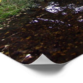 ティーガーデン日本のプリント ポスター (角)