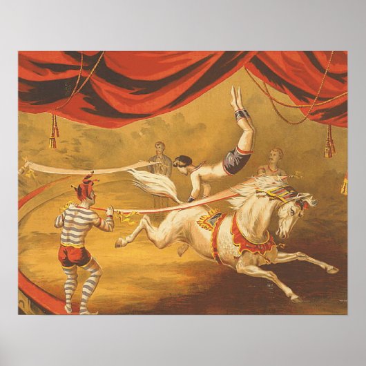 ティースサーカス法 ポスター (正面)