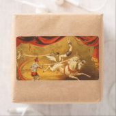 ティースサーカス法 ラベル (インサイチュ)