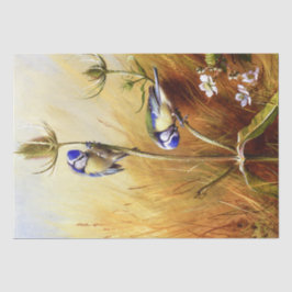 ティーセルの美しいブルーバードヴィンテージの水色 薄葉紙